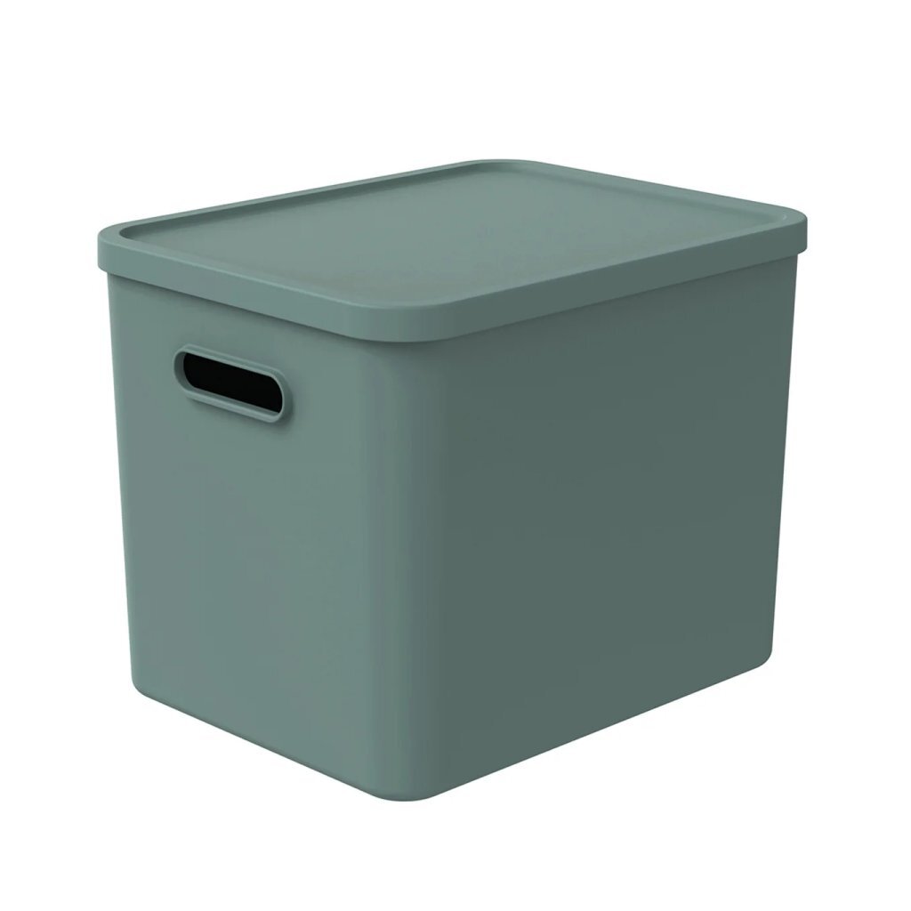 Rotho - Rotho albula multibox 29.5x29x37 cm 27l mistletoe groen