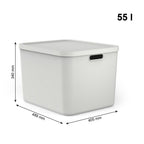 Rotho albula multibox 55l wit