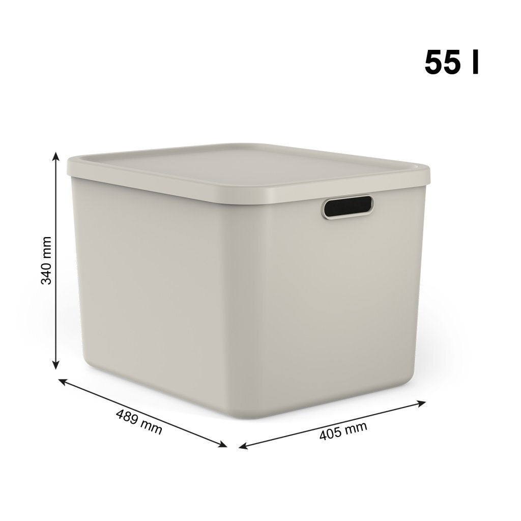 Rotho - Rotho albula multibox 55l cappuccino