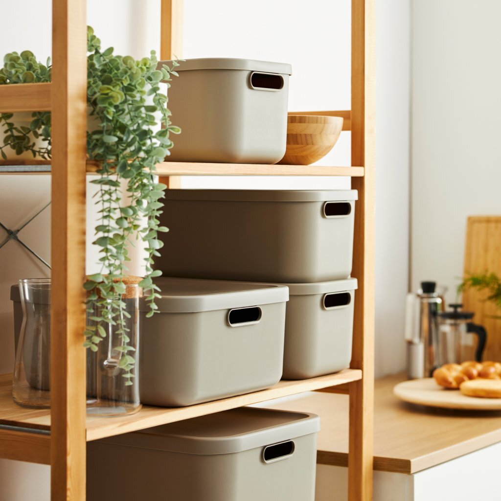 Rotho - Rotho albula multibox 55l cappuccino