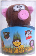 Toys Amsterdam - Toys Amsterdam grasvriendjes varken junior 125 cm vilt bruin