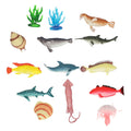 - Zeedieren 11 stuks