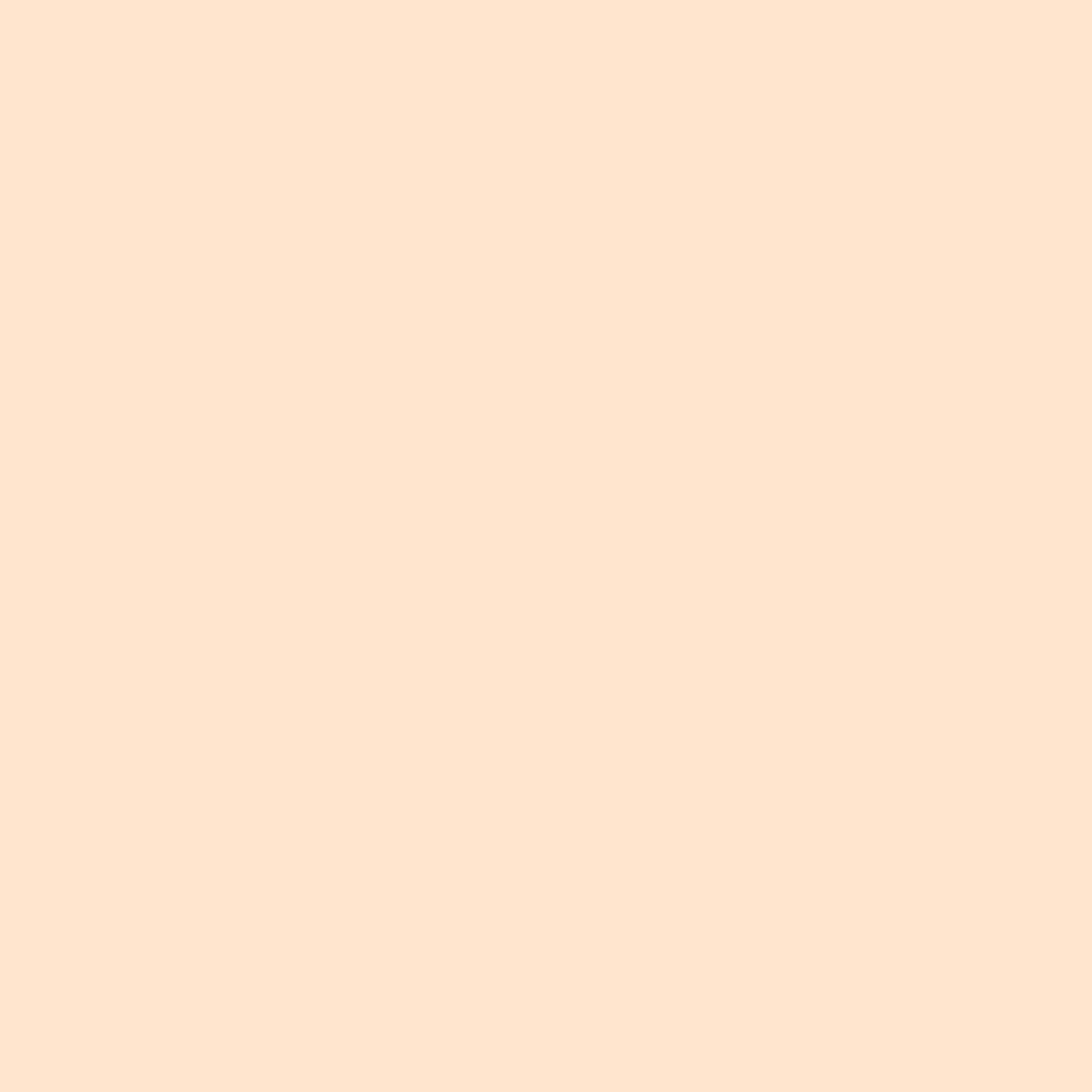 Silk Clay - Silk Clay Https://www.cchobby.nl/silk-clayr-licht-beige-40-gr-1-doosje