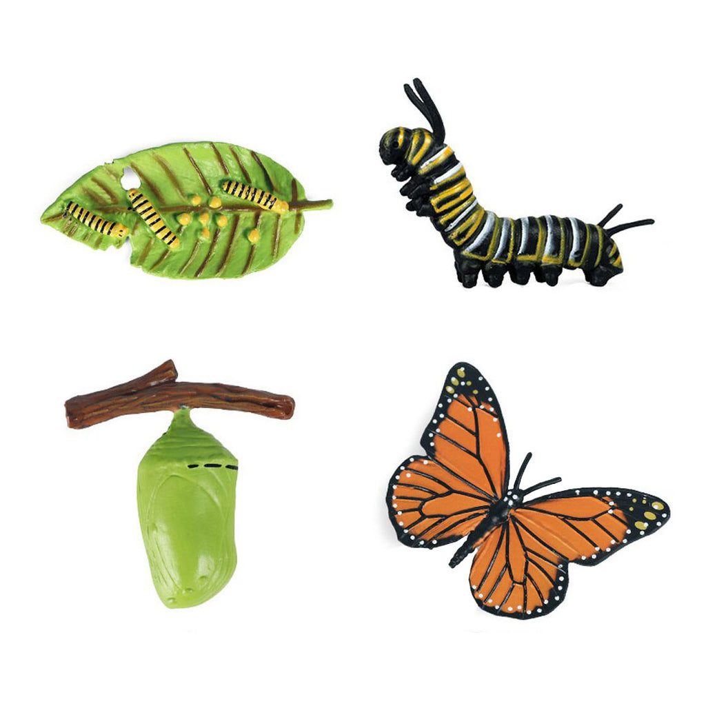 Cycplus - Cycplus Levenscyclus vlinder speelfiguren set