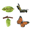 Cycplus - Cycplus Levenscyclus vlinder speelfiguren set