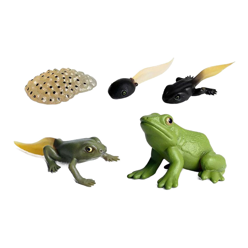 Cycplus - Cycplus Levenscyclus kikker speelfiguren set