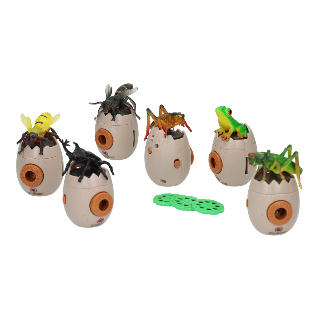 - Insecten Projector