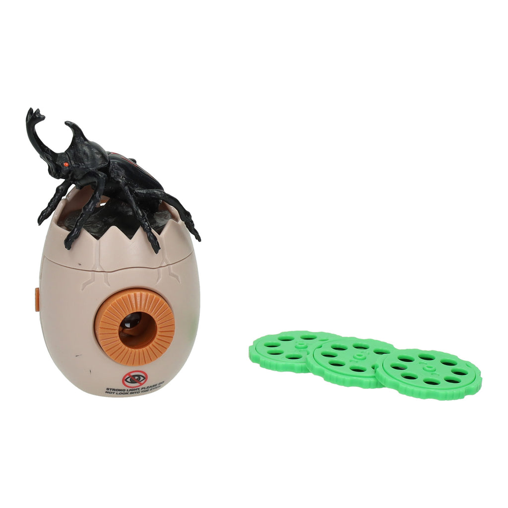 - Insecten Projector