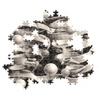 Clementoni - novo art puzzel m.c. escher 1000 stukjes
