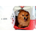 Bama pet transportbox 52x33x34 cm rood zilver