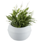Bama sfera bloempot 23l 40.5x32 cm wit