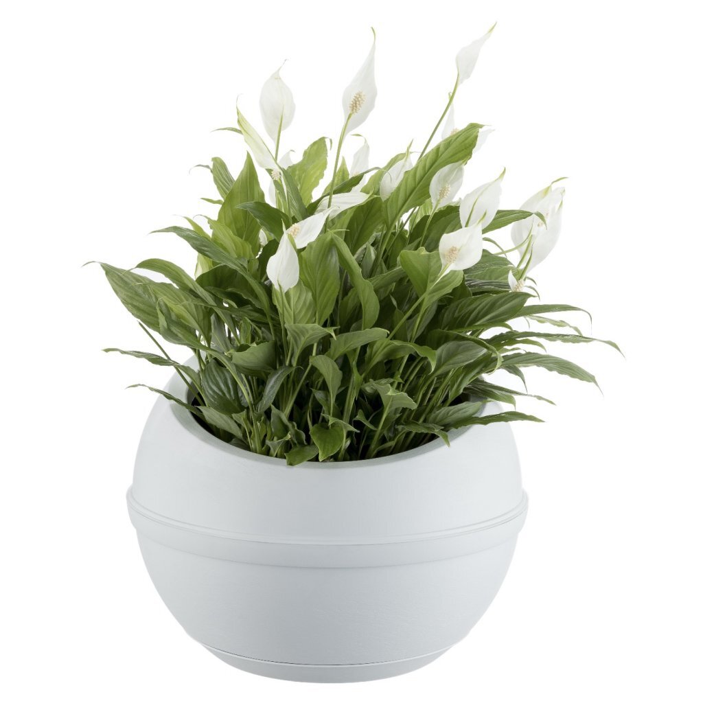Bama sfera bloempot 23l 40.5x32 cm wit