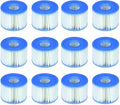 Intex 29001 Filter S1 voor Spa 12 stuks