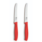 Richardson sheffield tomatenmes 2 stuks