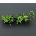 Nature wandtuin voor kruiden en bloemen verticaal