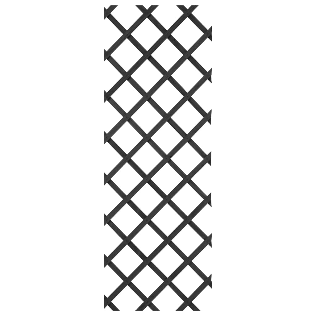 Nature tuinlatwerk 50x150 cm hout antracietkleurig