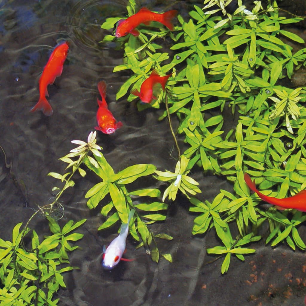 Ubbink vijverwaterbehandeling aqua clear 500 ml