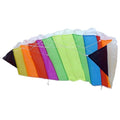 Basic - Basic Parafoil stunter kite 120x50 met tas