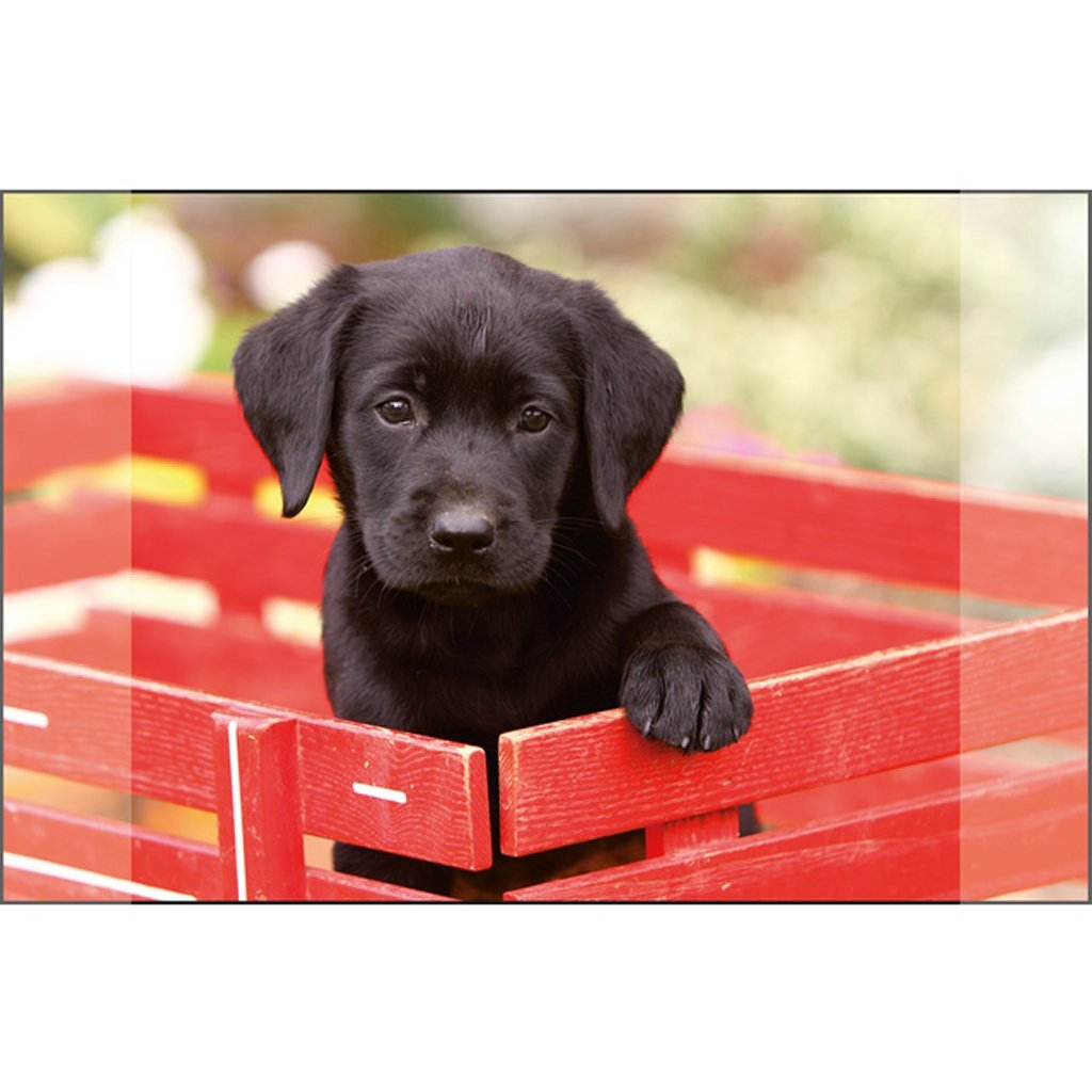 Kangaro bureau onderlegger - 38x58cm - labrador zwart - antislip - met insteekvakken