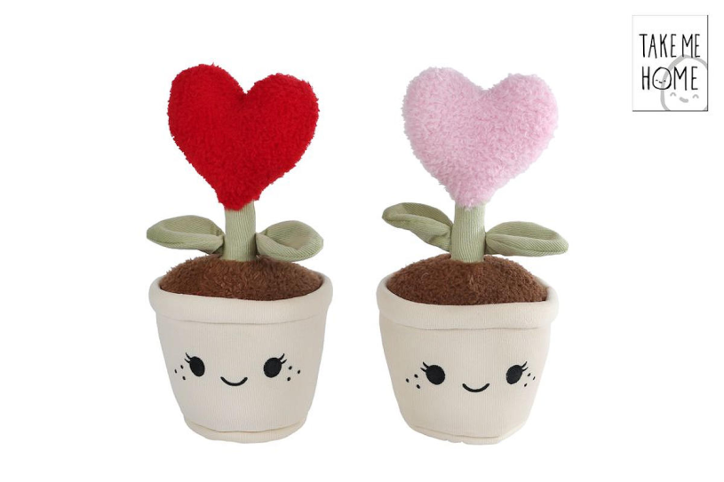 Take me home hart plant 2ass pluche 27cm
