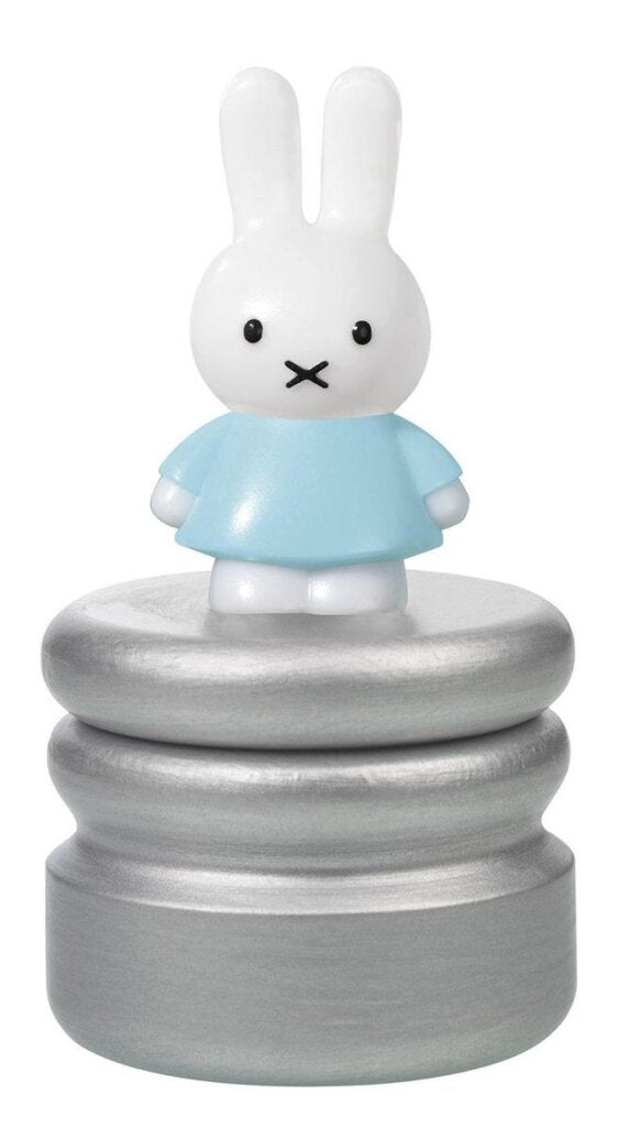 Bambolino toys nijntje melktandendoosje blauw zilver