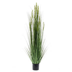 Emerald kunstplant graangras 150 cm