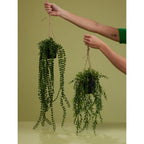 Emerald kunstplant hangend in pot buxus 50 cm