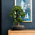 Emerald kunstplant in bruine pot ficus minibonsai 43 cm