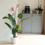 Emerald kunstplant met pot en bloemen strelitzia 120 cm