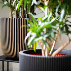 Capi plantenbak groove 35x34 cm zwart en goudkleurig
