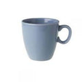 Royal boch fleurs senseomok 23cl blauw