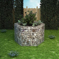 Vidaxl gabion plantenbak verhoogd zeshoekig 160x140x100 cm