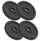 Vidaxl halterschijven 4 st 4x5 kg gietijzer