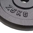 VidaXL Halterschijven 4 st 4x7,5 kg gietijzer