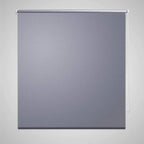 Vidaxl rolgordijn verduisterend 164,4 x 175 cm stofbreedte 160 cm grijs
