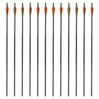 Vidaxl pijlen compoundboog standaard 30 0,8 cm glasvezel 12 stuks