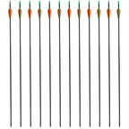 Vidaxl recurveboog standaard met pijlen 30 0,6 cm glasvezel 12 stuks