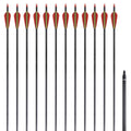 Vidaxl pijlen voor recurveboog standaard 30 0,76 cm koolstof 12 stuks
