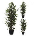 Overige Merken - Overige Merken Kunstplant ficus 95 cm groen/wit