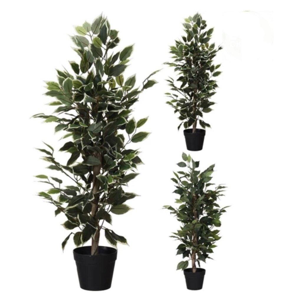 Overige Merken - Overige Merken Kunstplant ficus 95 cm groen/wit