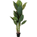 Overige Merken - Overige Merken Kunstplant bananenboom 80x165 cm groen