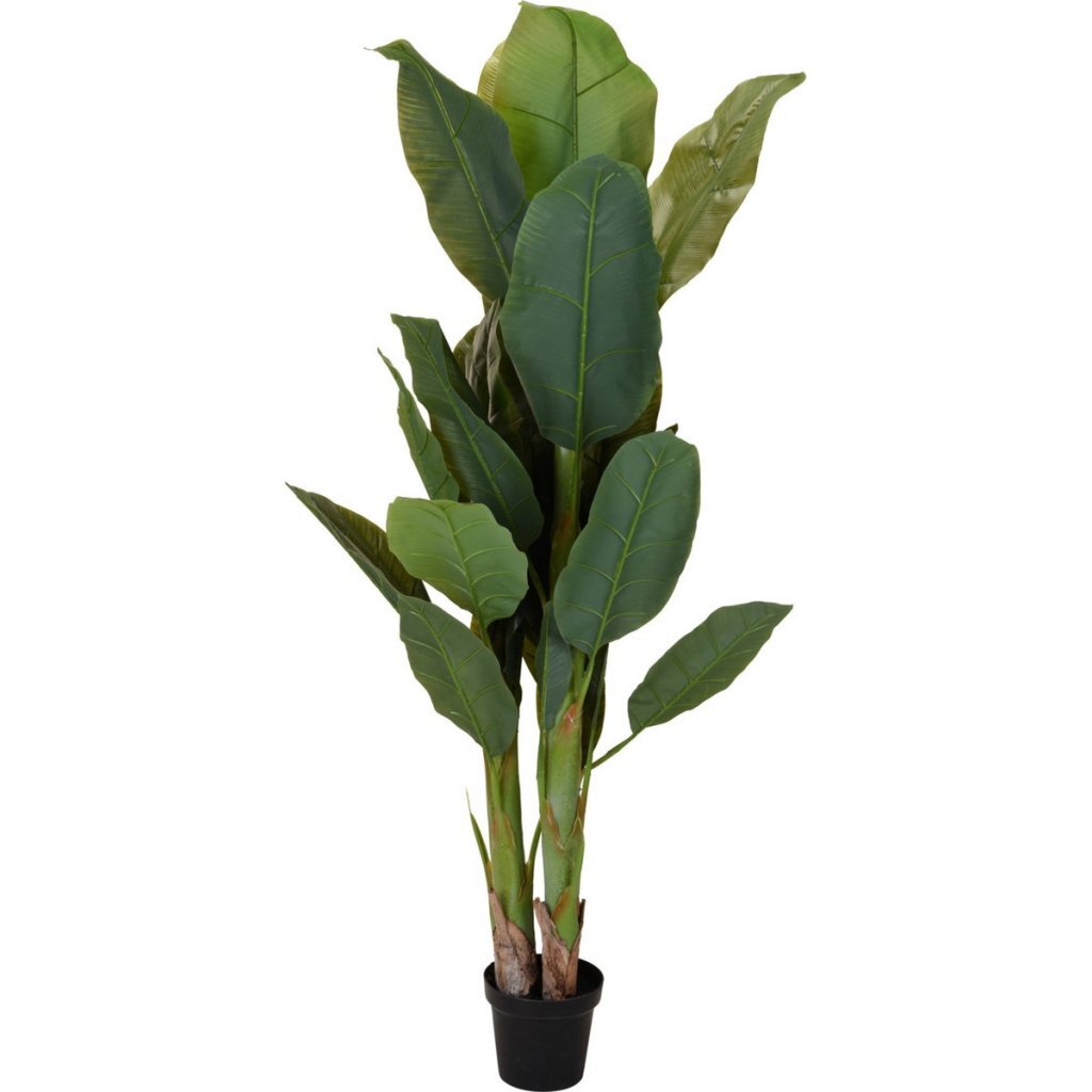 Overige Merken - Overige Merken Kunstplant bananenboom 80x165 cm groen