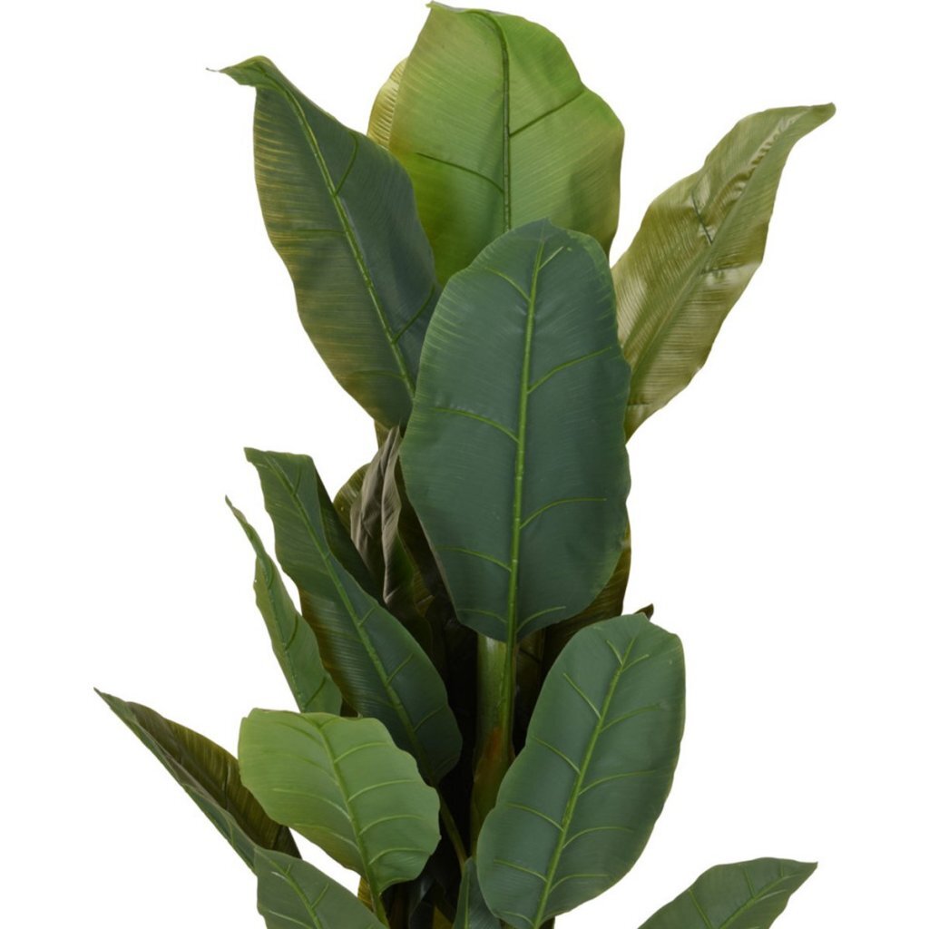 Overige Merken - Overige Merken Kunstplant bananenboom 80x165 cm groen