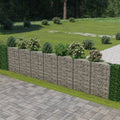 VidaXL Gabion mand 450x30x100 cm gegalvaniseerd staal