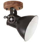 Vidaxl wand- plafondlampen industrieel 2 st e27 20x25 cm zwart