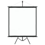 VidaXL Projectiescherm met statief 1:1 67''
