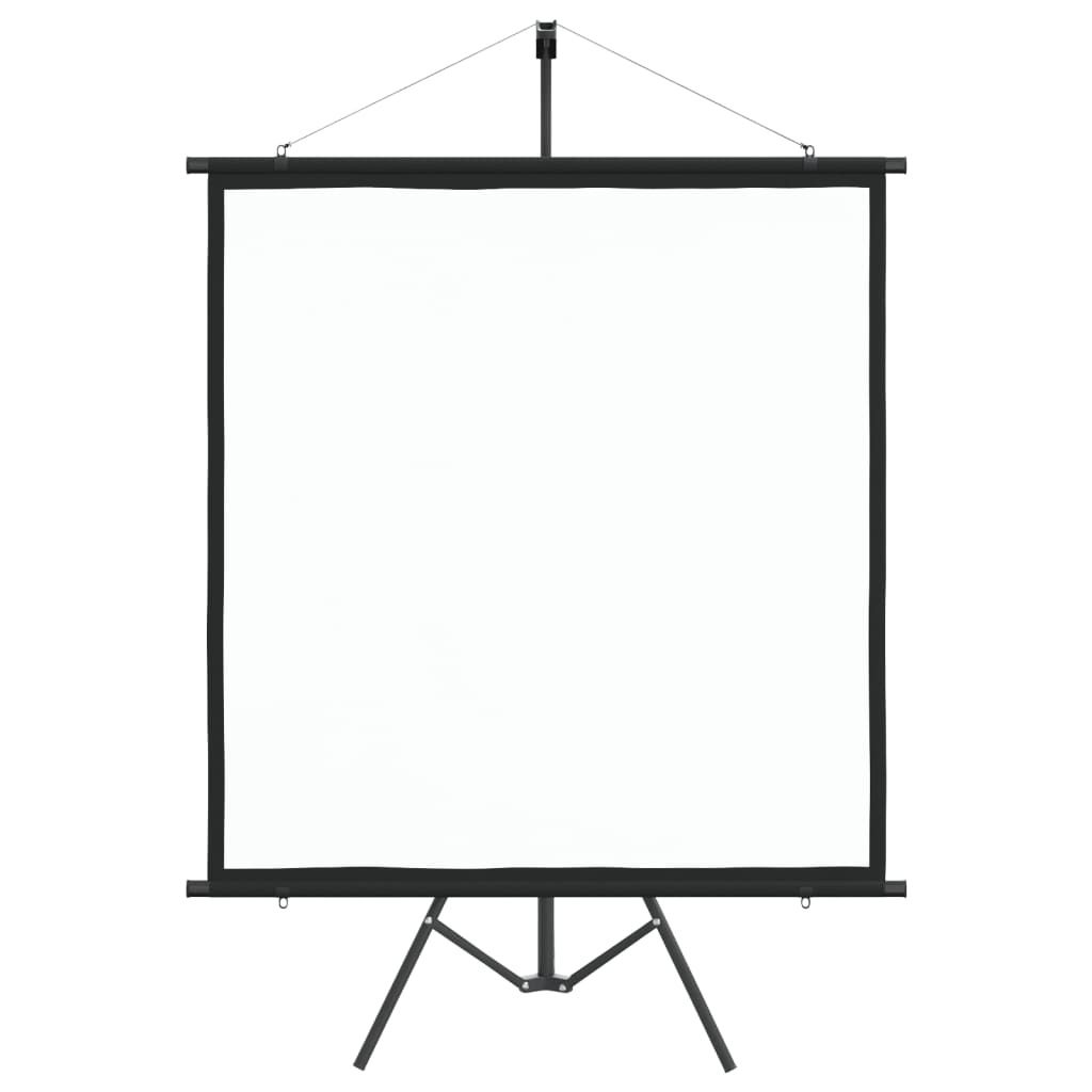 VidaXL Projectiescherm met statief 1:1 67''