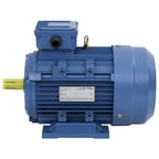 VidaXL Elektromotor 3 fase 4 kW 5,5 pk 2-polig 2840 rpm aluminium
