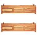 Vidaxl plantenbakken verhoogd 2 st 100x30x25 cm acaciahout