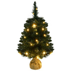 VidaXL Kunstkerstboom met verlichting en standaard 60 cm PVC groen